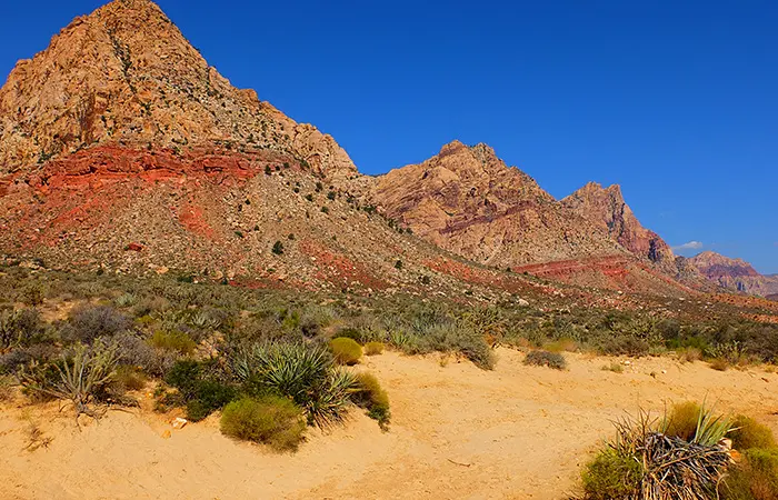 Equitazione in Red Rock Canyon a Las Vegas - Vista