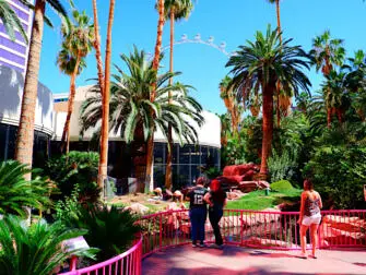 Flamingo Hotel a Las Vegas - Giardino